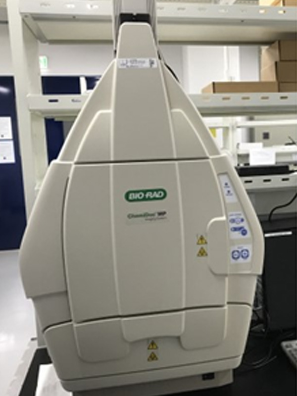 Chemi Image Documentation System 화학 형광 이미지 분석 장치