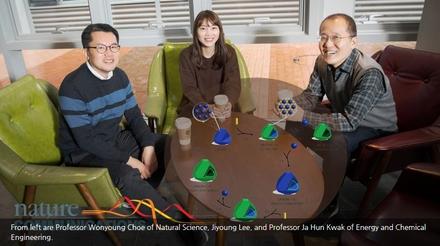 New Insights into the Structure of Nanoporous Carbons(Professor Wonyoung Choe)