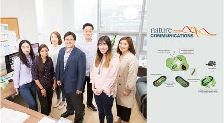 UNIST Researchers Find New Way to Tackle Cancer Cells (Prof. Ja-Hyoung Ryu)