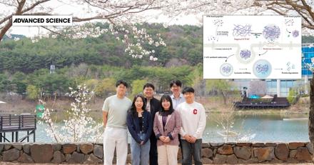 암세포의 면역 방어막 걷어내는 자기조립 복합체 개발