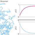Memoryless self-reinforcing directionality in endosomal active transport within living cells