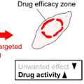 Development of a mitochondria-targeted Hsp90 inhibitor based on the crystal structures of human TRAP1