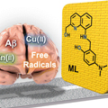 Rational design of a structural framework with potential use to develop chemical reagents that target and modulate multiple facets of Alzheimer's disease