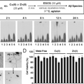 Insights into the antiamyloidogenic properties of the green tea extract (?)-epigallocatechin-3-gallate toward metal-associated amyloid-? species