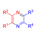Synthesis of unsymmetrical pyrazines based on ?-diazooxime ethers