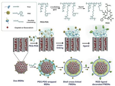 Noncovalent polymer-gatekeeper in mesoporous silica nanoparticles as a targeted drug delivery platform