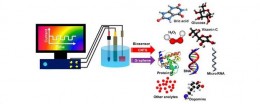 Engineered Carbon-Nanomaterial Based Electrochemical Sensors for Biomolecules