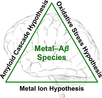 The ongoing search for small molecules to study metal-associated amyloid-species in Alzheimer's disease