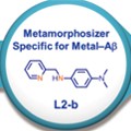 A rationally designed small molecule for identifying an in vivo link between metal–amyloid-? complexes and the pathogenesis of Alzheimer"s disease
