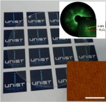 Wafer-Scale and Wrinkle-Free Epitaxial Growth of Single-Orientated Multilayer Hexagonal Boron Nitride on Sapphire