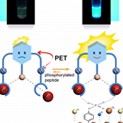 Phosphorescent sensor for phosphorylated peptides based on an iridium complex