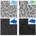 Simultaneous visualization of graphene grain boundaries and wrinkles with structural information by gold deposition