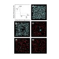 Limit of metastability for liquid and vapor phases of water