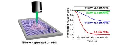 Prevention of Transition Metal Dichalcogenide Photodegradation by Encapsulation with h-BN Layers