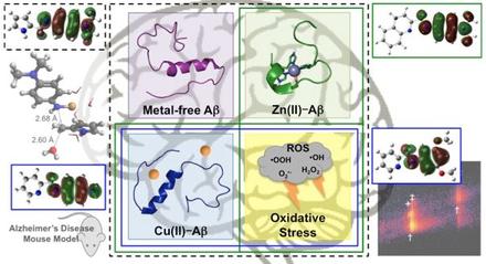 Structure-mechanism-based engineering of chemical regulators targeting distinct pathological factors in Alzheimer’s disease