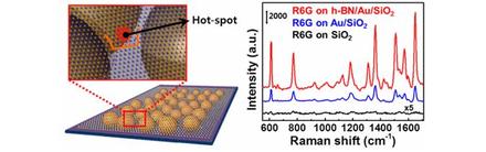 Hexagonal Boron Nitride/Au Substrate for Manipulating Surface Plasmon and Enhancing Capability of Surface-Enhanced Raman Spectroscopy