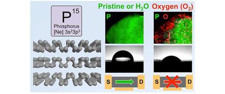 Interaction of Black Phosphorus with Oxygen and Water