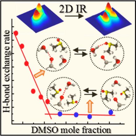 Two-Dimensional Infrared Spectroscopy Reveals Cosolvent-Composition-Dependent Crossover in Intermolecular Hydrogen-Bond Dynamics