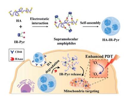 Cancer-mitochondria-targeted photodynamic therapy with supramolecular assembly of HA and a water soluble NIR cyanine dye