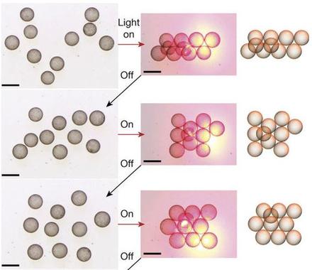 Systems of mechanized and reactive droplets powered by multi-responsive surfactants
