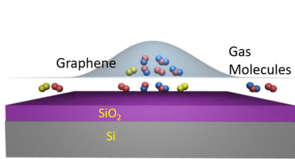 Raman Spectral Band Oscillations in Large Graphene Bubbles