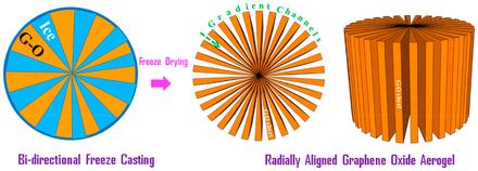 Freeze-Casting Produces a Graphene Oxide Aerogel with a Radial and Centrosymmetric Structure