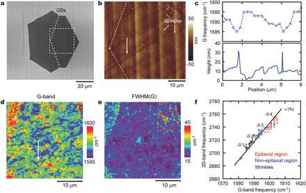Orientation‐Dependent Strain Relaxation and Chemical Functionalization of Graphene on a Cu(111) Foil