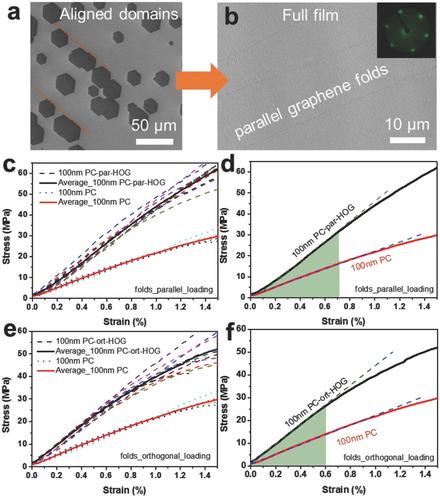 Camphor‐Enabled Transfer and Mechanical Testing of Centimeter‐Scale Ultrathin Films