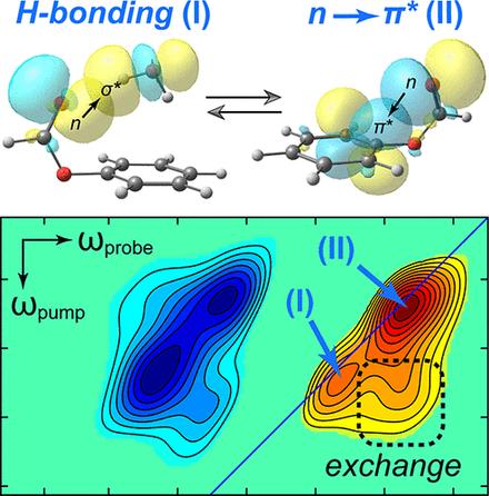 Interconverting Hydrogen-Bonding and Weak n → π* Interactions in Aqueous Solution: A Direct Spectroscopic Evidence