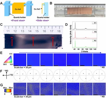 Colossal grain growth yields single-crystal metal foils by contact-free annealing