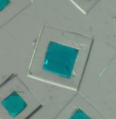Computer-aided discovery of connected metal-organic frameworks