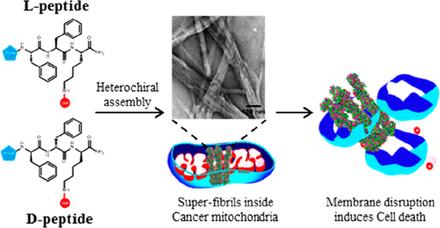 Heterochiral Assembly of Amphiphilic Peptides Inside the Mitochondria for Supramolecular Cancer Therapeutics
