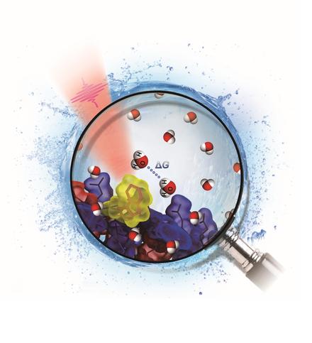 Hydrogen-Bond Free Energy of Local Biological Water