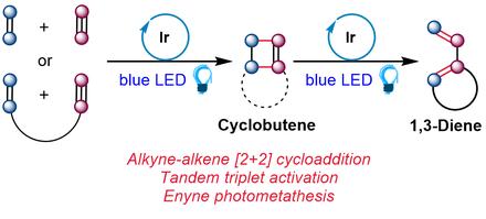 Alkyne–Alkene [2 + 2] Cycloaddition Based on Visible Light Photocatalysis