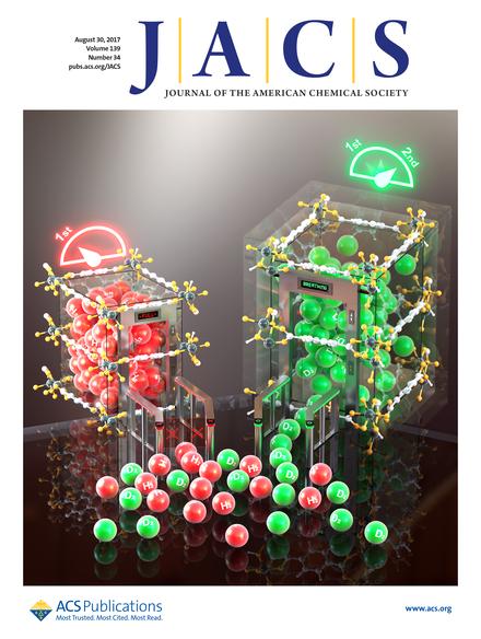 Specific Isotope-Responsive Breathing Transition in Flexible Metal–Organic Frameworks