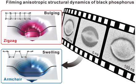 Light-Induced Anisotropic Morphological Dynamics of Black Phosphorus Membranes Visualized by Dark-Field Ultrafast Electron Microscopy
