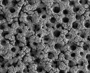 CVD Growth of Porous Graphene Foam in Film Form