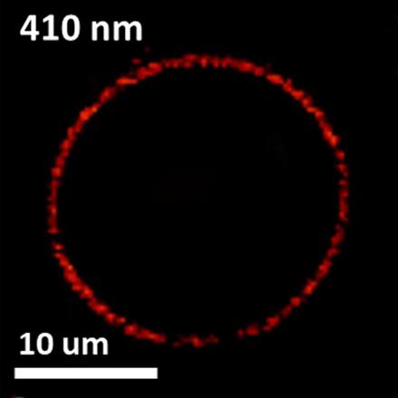 Blue Emission at Atomically Sharp 1D Heterojunctions between Graphene and h-BN