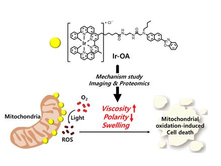 Analysing the Mechanism of Mitochondrial Oxidation-Induced Cell Death Using a Multifunctional Iridium(III) Photosensitiser