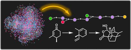 Chemist Ex Machina: Advanced Synthesis Planning by Computers