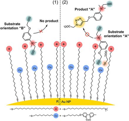 On-Nanoparticle Gating Units Render an Ordinary Catalyst Substrate- and Site-Selective