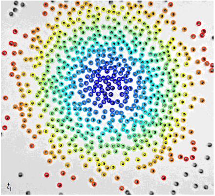 Active Phase Separation by Turning towards Regions of Higher Density