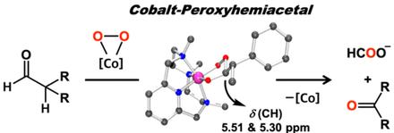 Spectroscopic Evidence for a Cobalt-Bound Peroxyhemiacetal Intermediate
