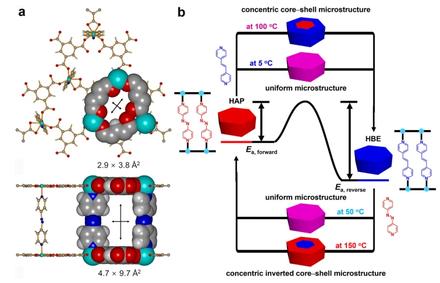 Spatial distribution modulation of mixed building blocks in metal-organic frameworks