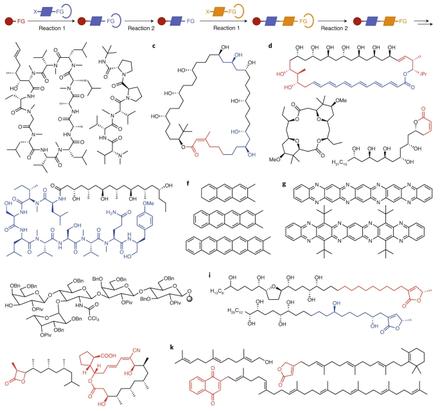 A computer algorithm to discover iterative sequences of organic reactions