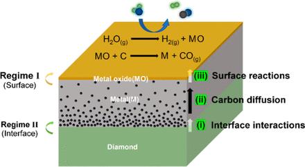 Dissolving Diamond: Kinetics of the Dissolution of (100) and (110) Single Crystals in Nickel and Cobalt Films