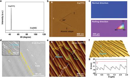 Folding and Fracture of Single-Crystal Graphene Grown on a Cu(111) Foil