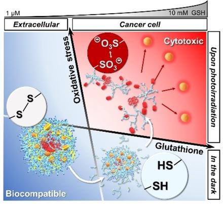 Dual-Modulated Release of a Cytotoxic Photosensitizer Using Photogenerated Reactive Oxygen Species and Glutathione