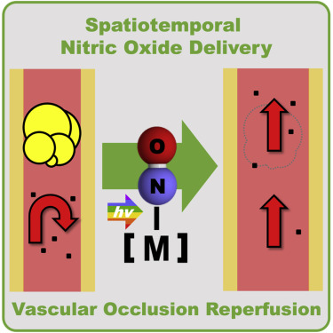 Photodynamic treatment of acute vascular occlusion by using an iron–nitrosyl complex