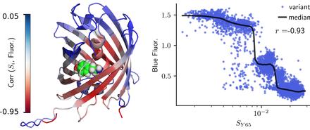 AlphaFold2 Can Predict Single-Mutation Effects